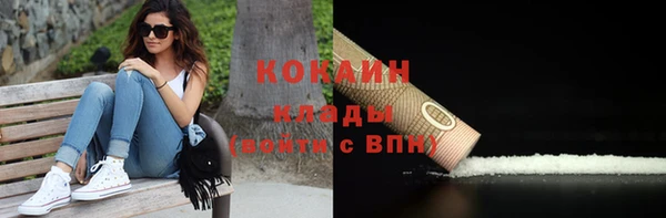 крисы Баксан