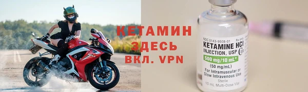 крисы Баксан