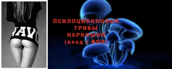 крисы Баксан
