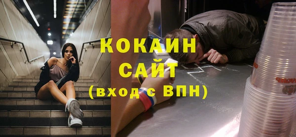 крисы Баксан