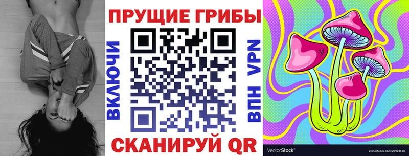 ОМГ ОМГ вход  Новотроицк  Псилоцибиновые грибы ЛСД 